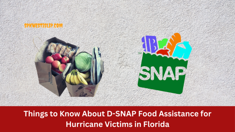 Things to Know About D-SNAP Food Assistance for Hurricane Victims in Florida