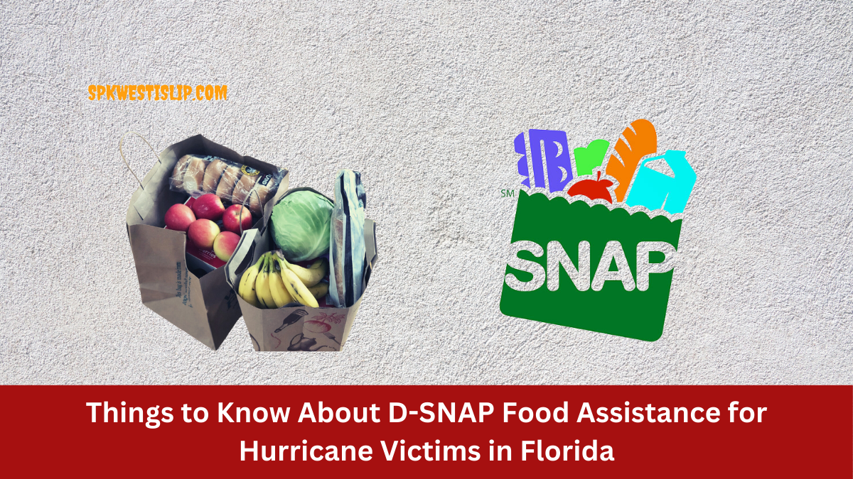 Things to Know About D-SNAP Food Assistance for Hurricane Victims in Florida